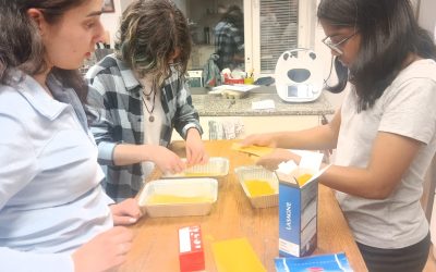 Community and New Initiatives in Finland